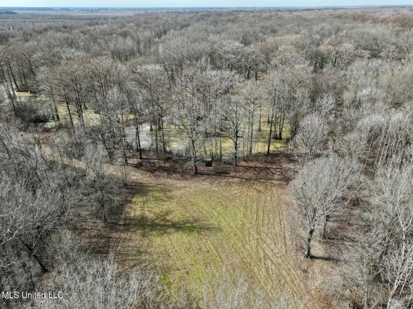 Putnam Road Property Photo 33