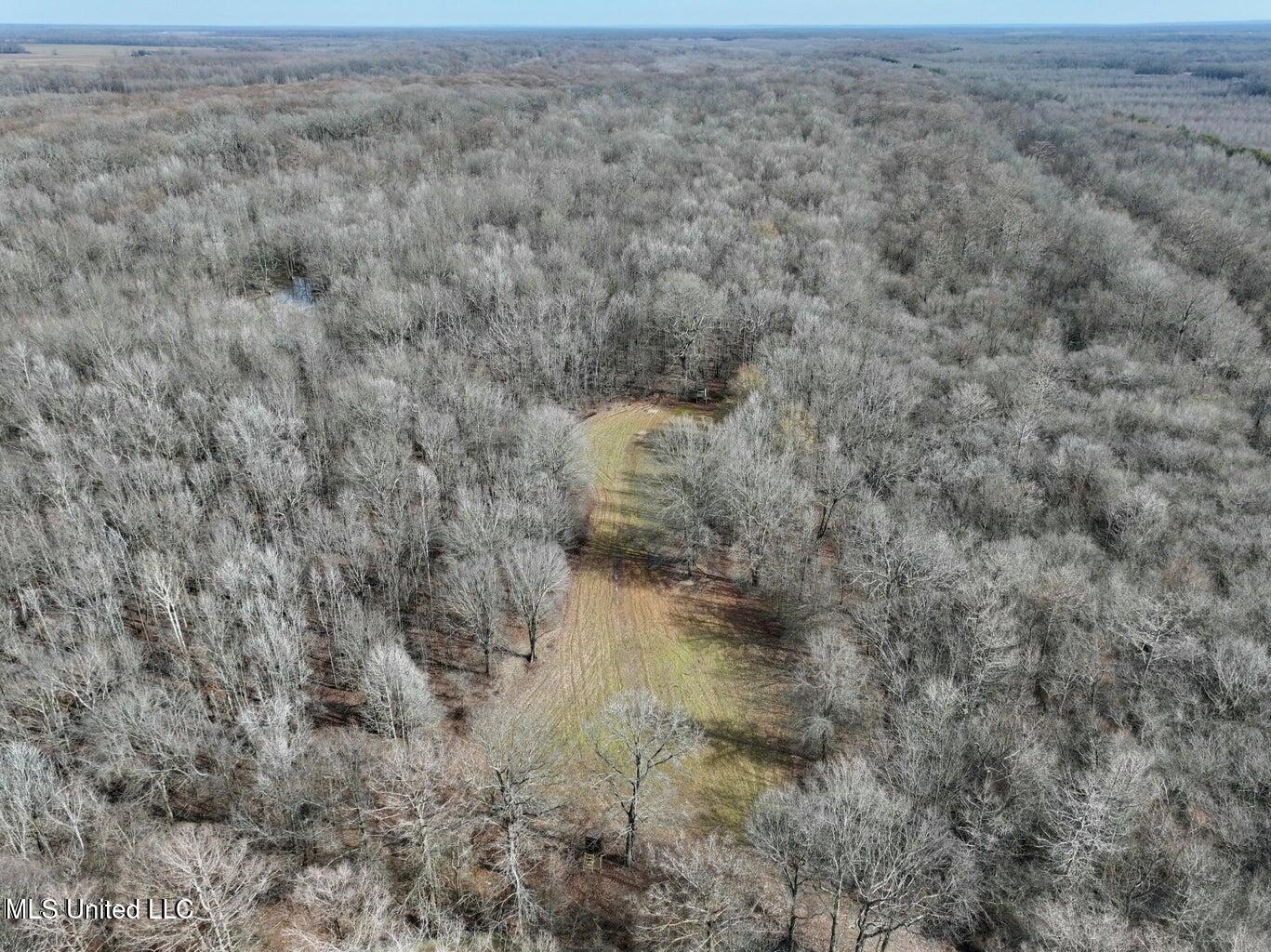 Putnam Road Property Photo 34