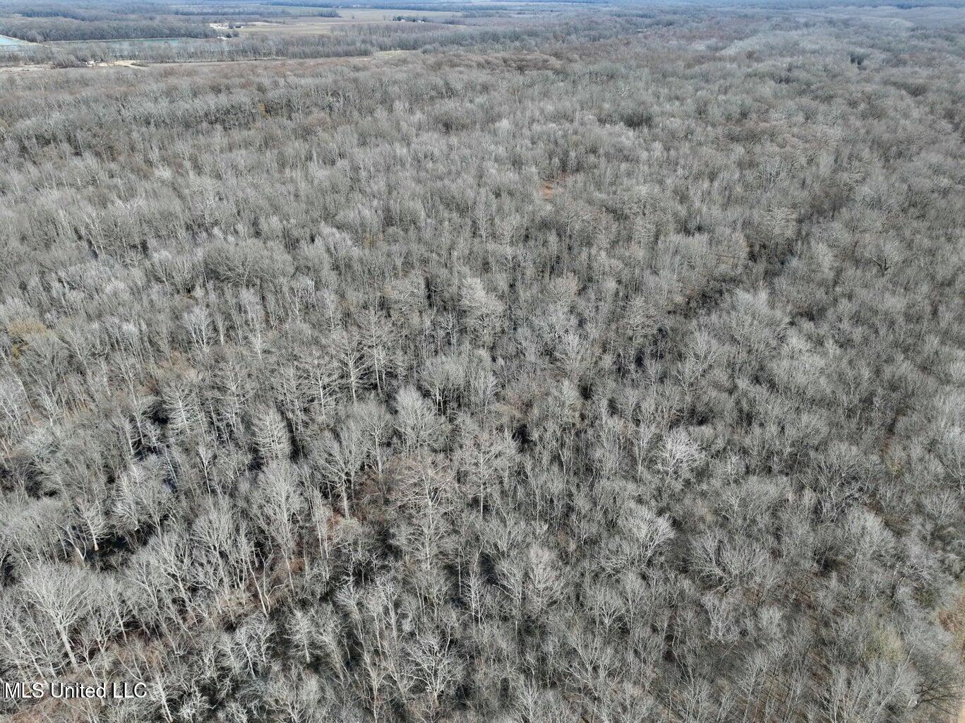 Putnam Road Property Photo 36