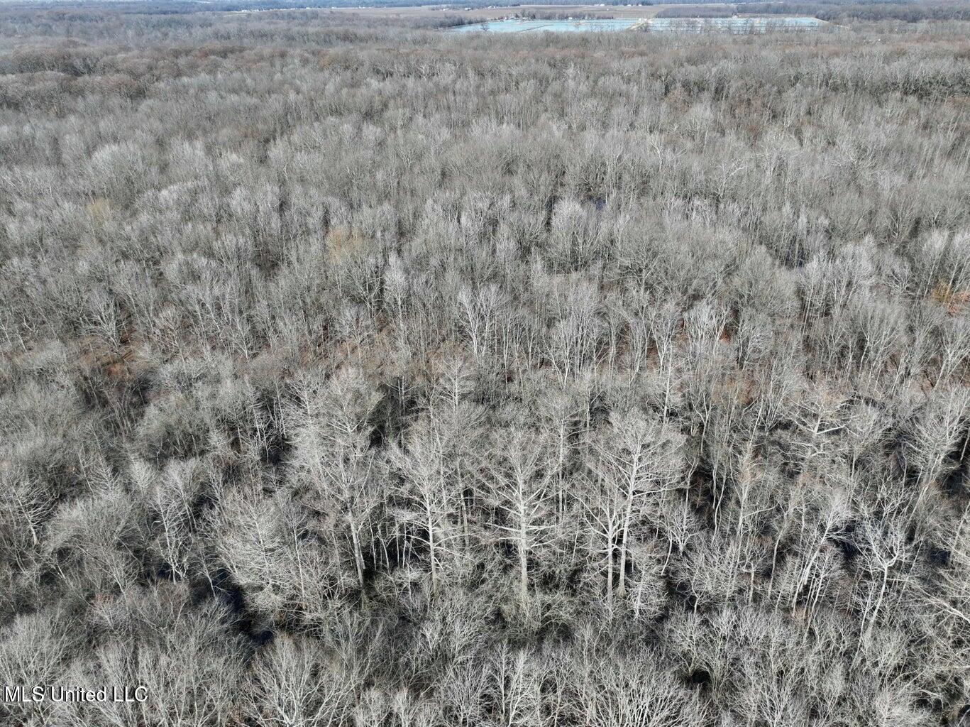 Putnam Road Property Photo 37