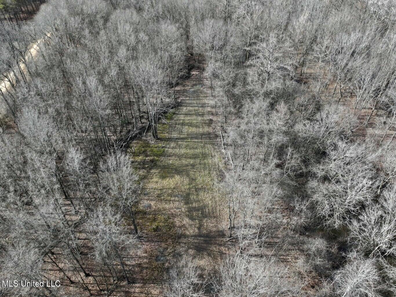 Putnam Road Property Photo 38