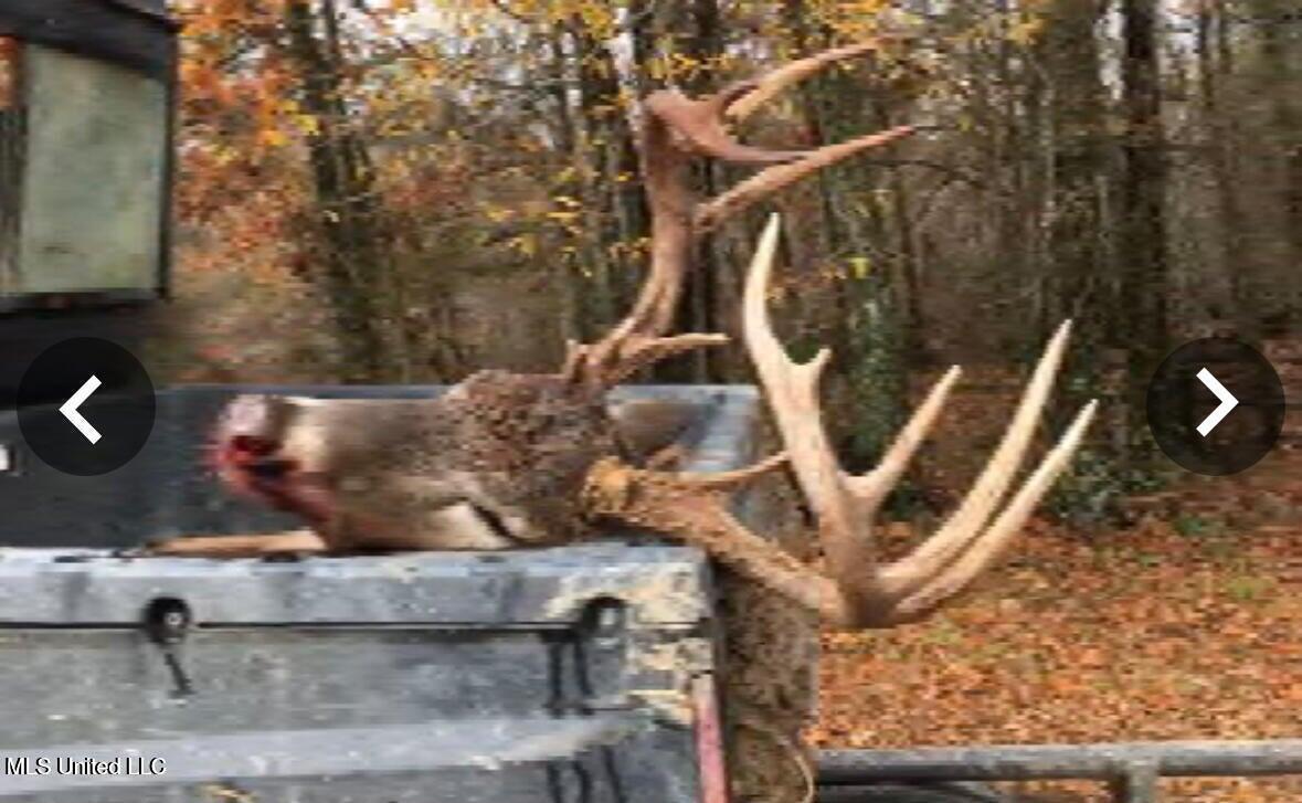 Putnam Road Property Photo 39