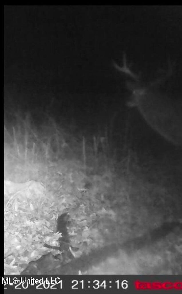 Putnam Road Property Photo 40