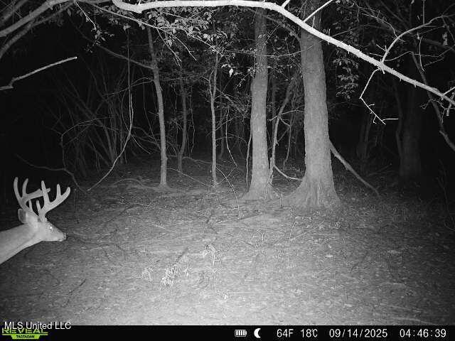 Putnam Road Property Photo 43