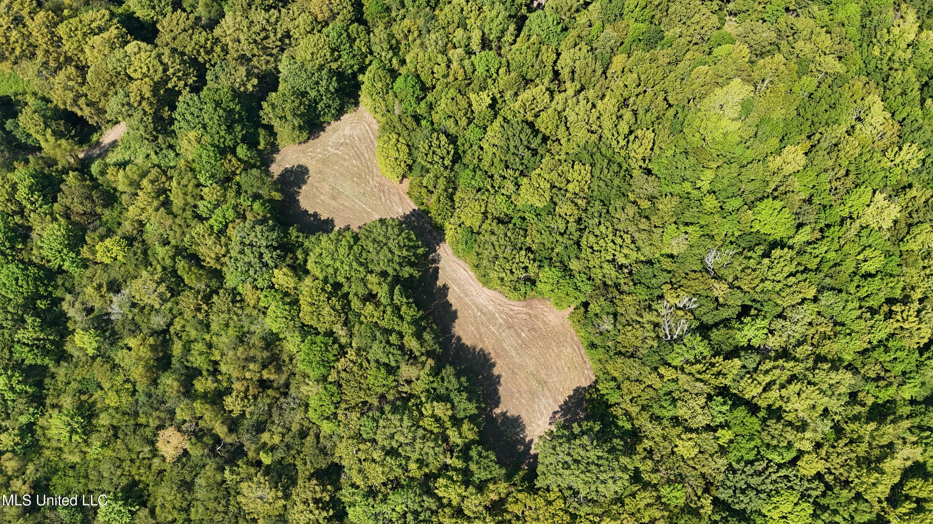 Putnam Road Property Photo 45