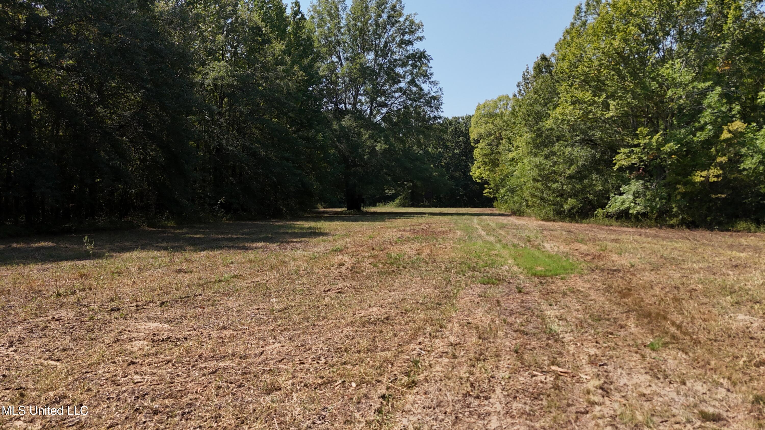 Putnam Road Property Photo 49