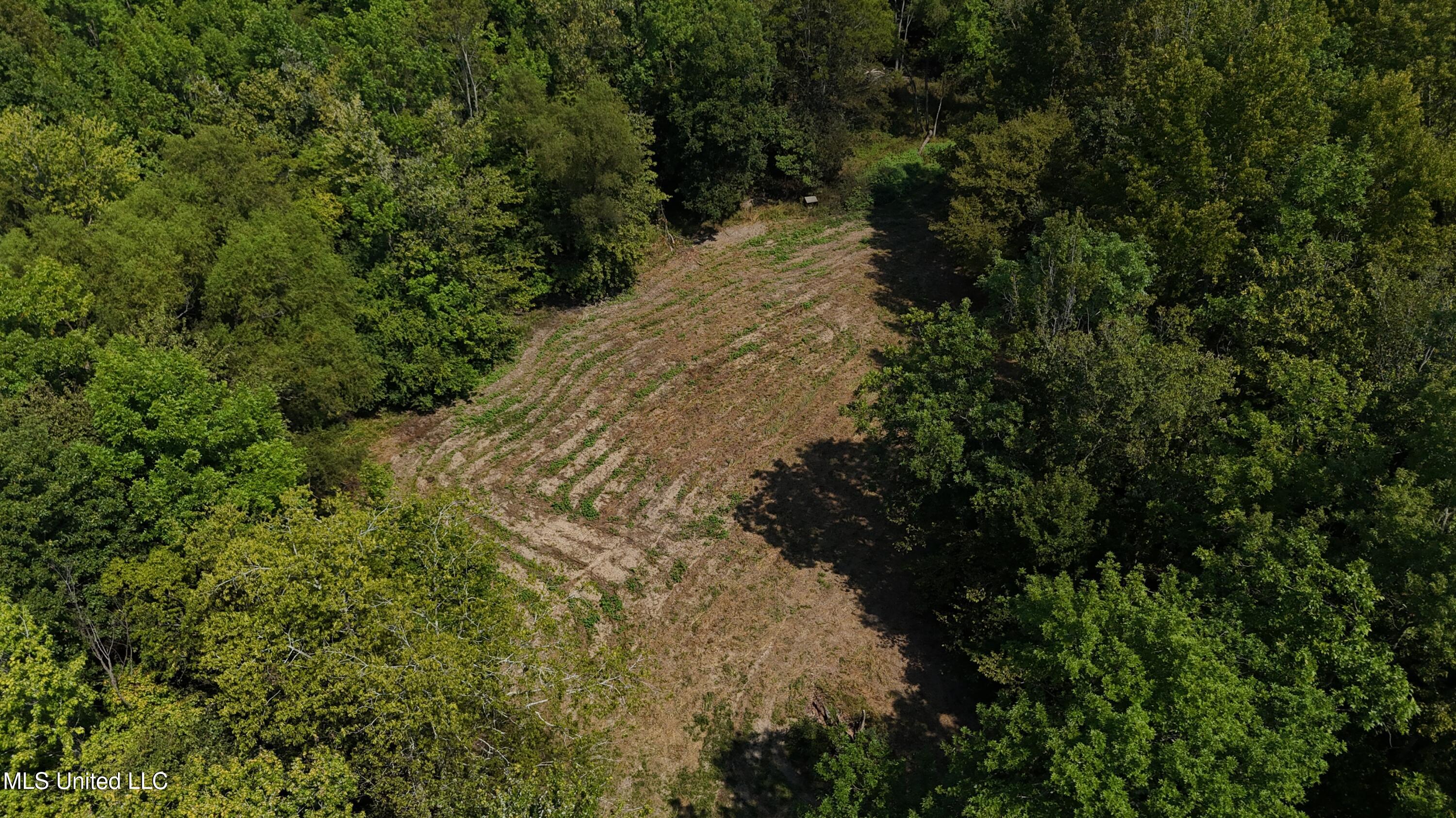 Putnam Road Property Photo 50