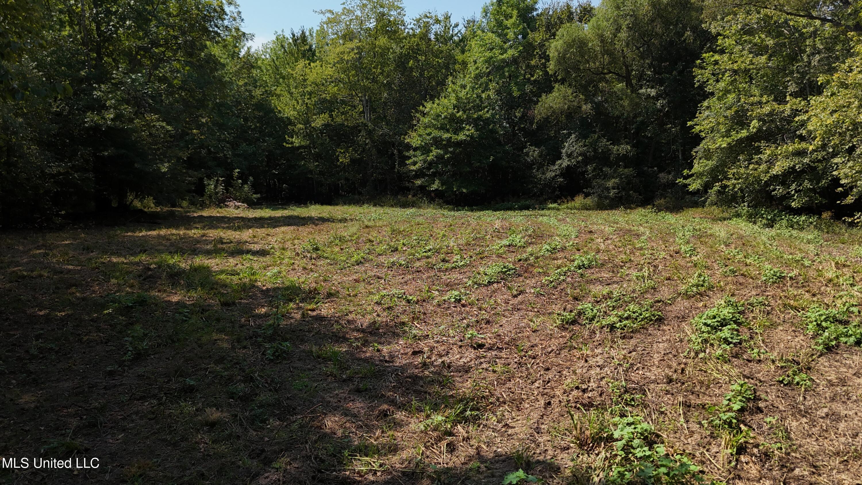 Putnam Road Property Photo 52