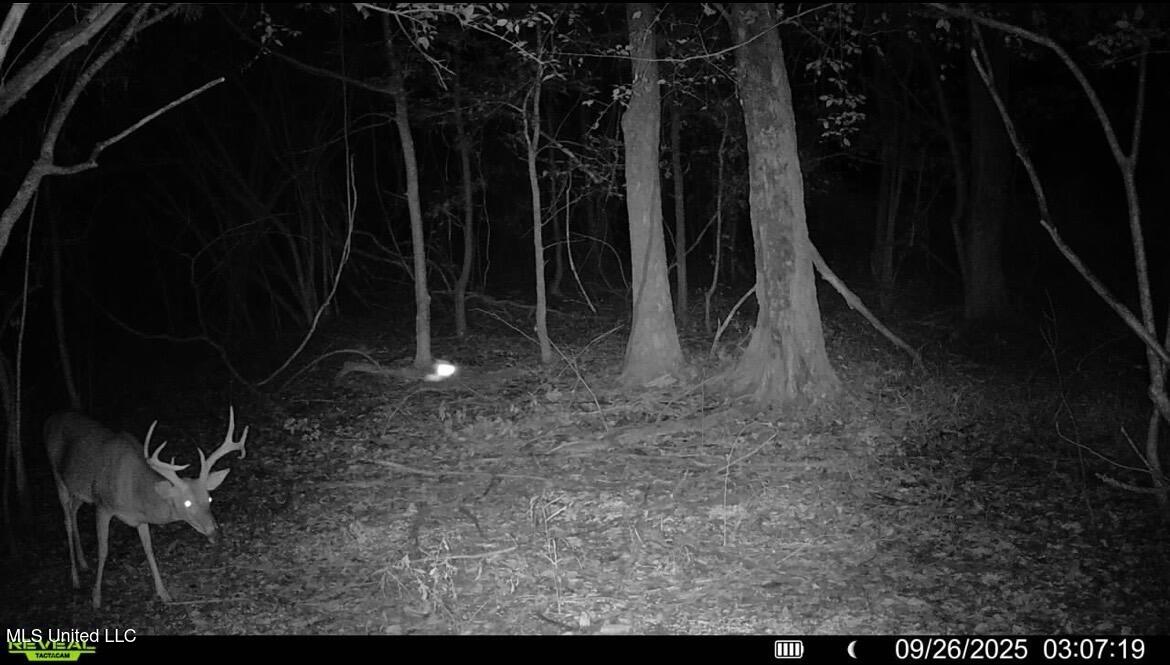 Putnam Road Property Photo 54