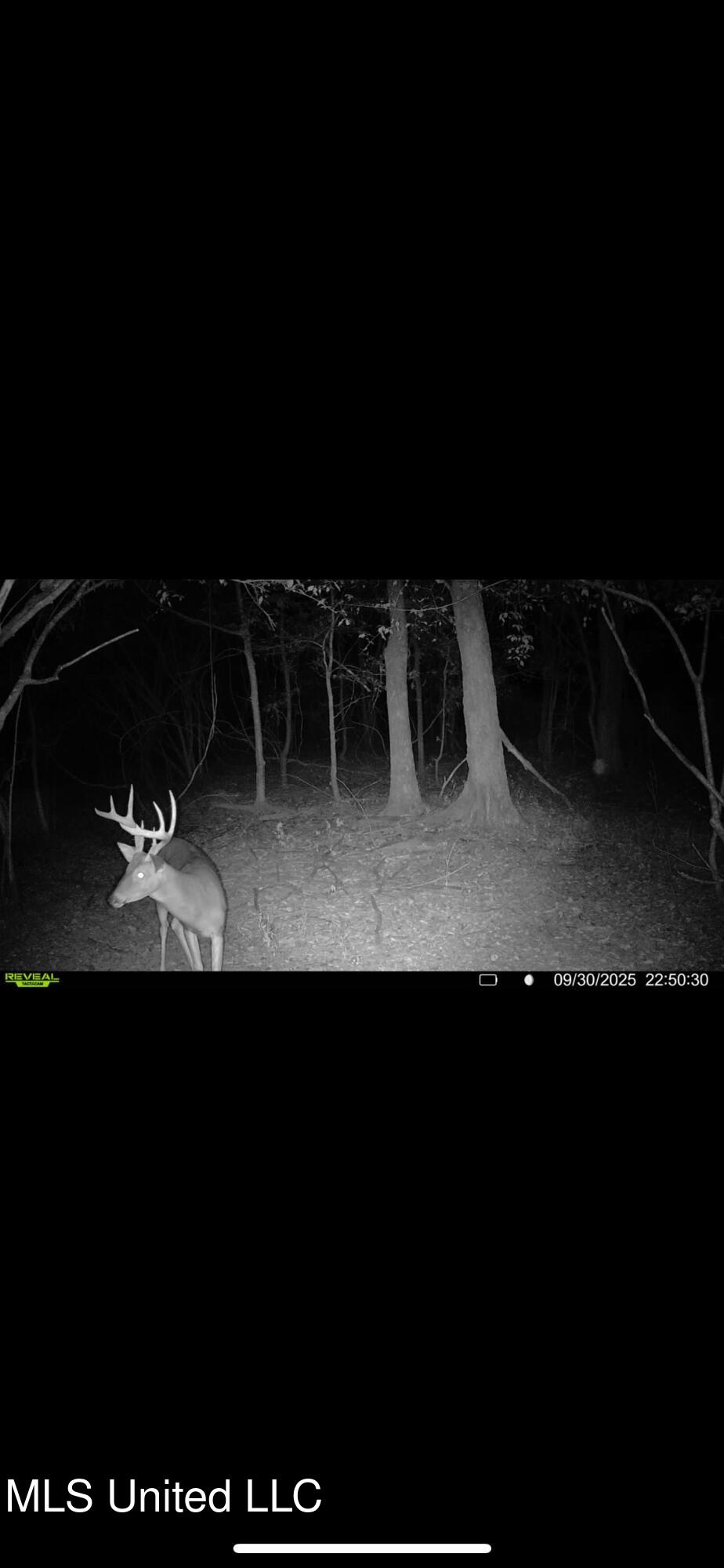 Putnam Road Property Photo 58