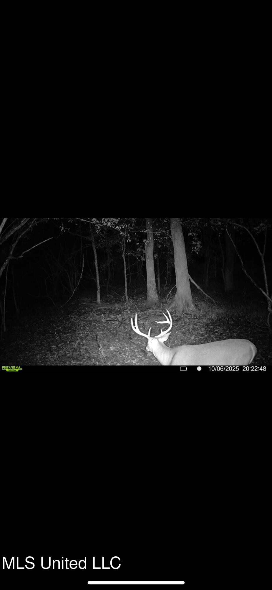 Putnam Road Property Photo 59