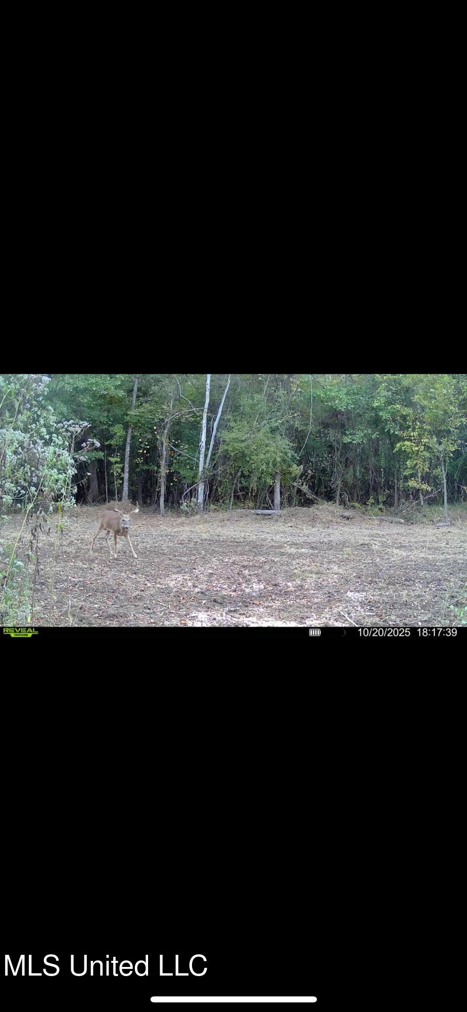 Putnam Road Property Photo 60