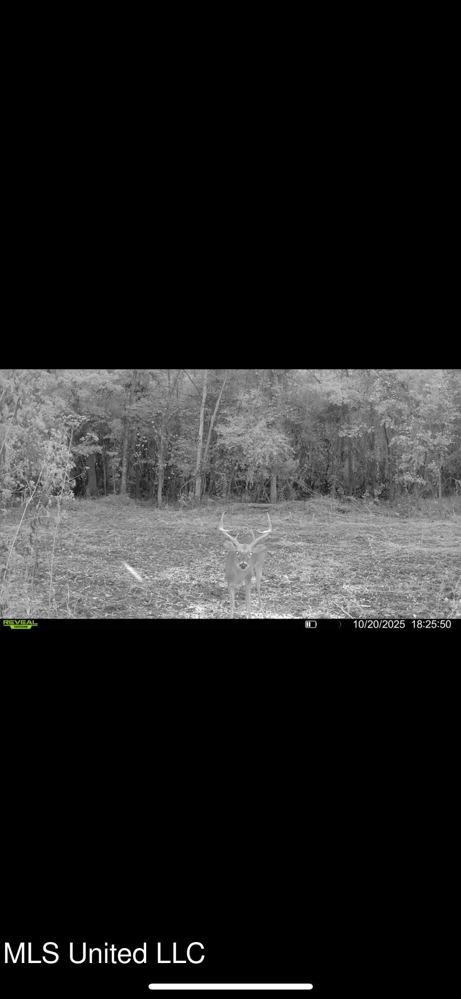 Putnam Road Property Photo 61