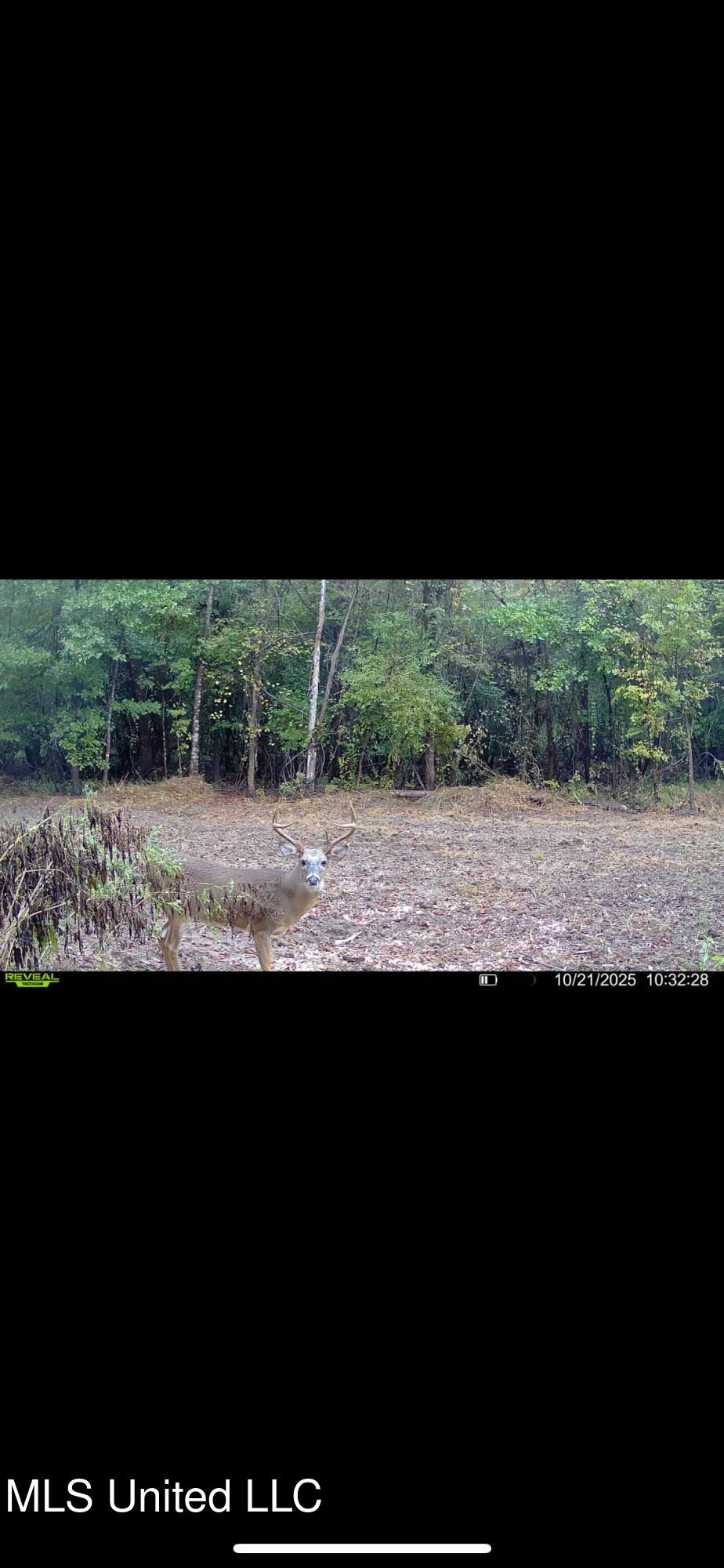 Putnam Road Property Photo 62