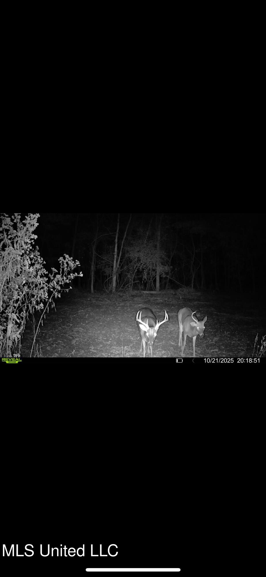 Putnam Road Property Photo 63