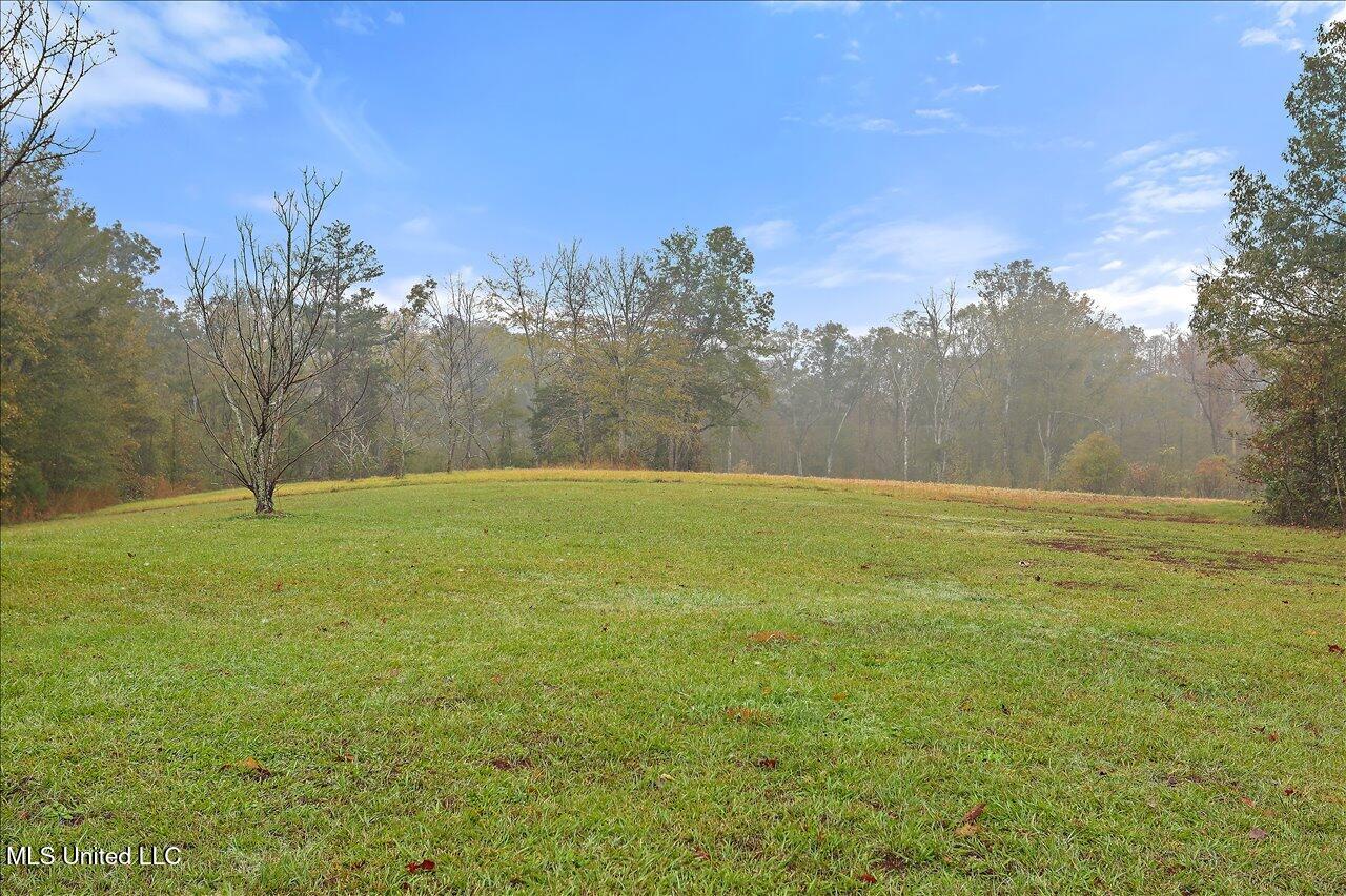 1022 Mcdaniel Lane Property Photo 36