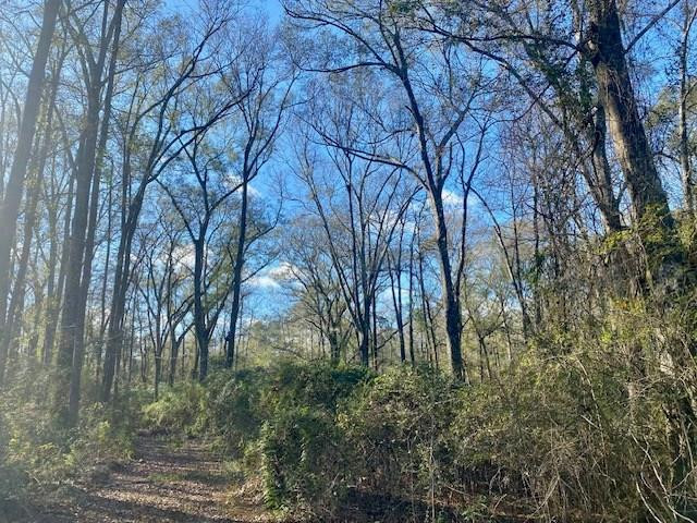 Morgantown Road Property Photo 2