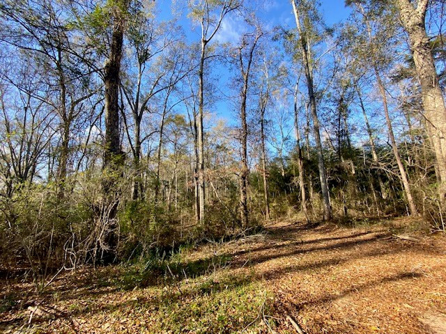 Morgantown Road Property Photo 5