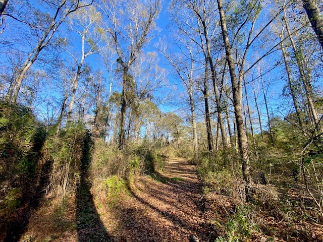 Morgantown Road Property Photo 6