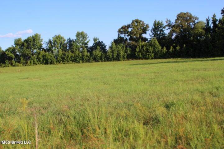 00 Chapel Hill Subdivision Property Photo 1