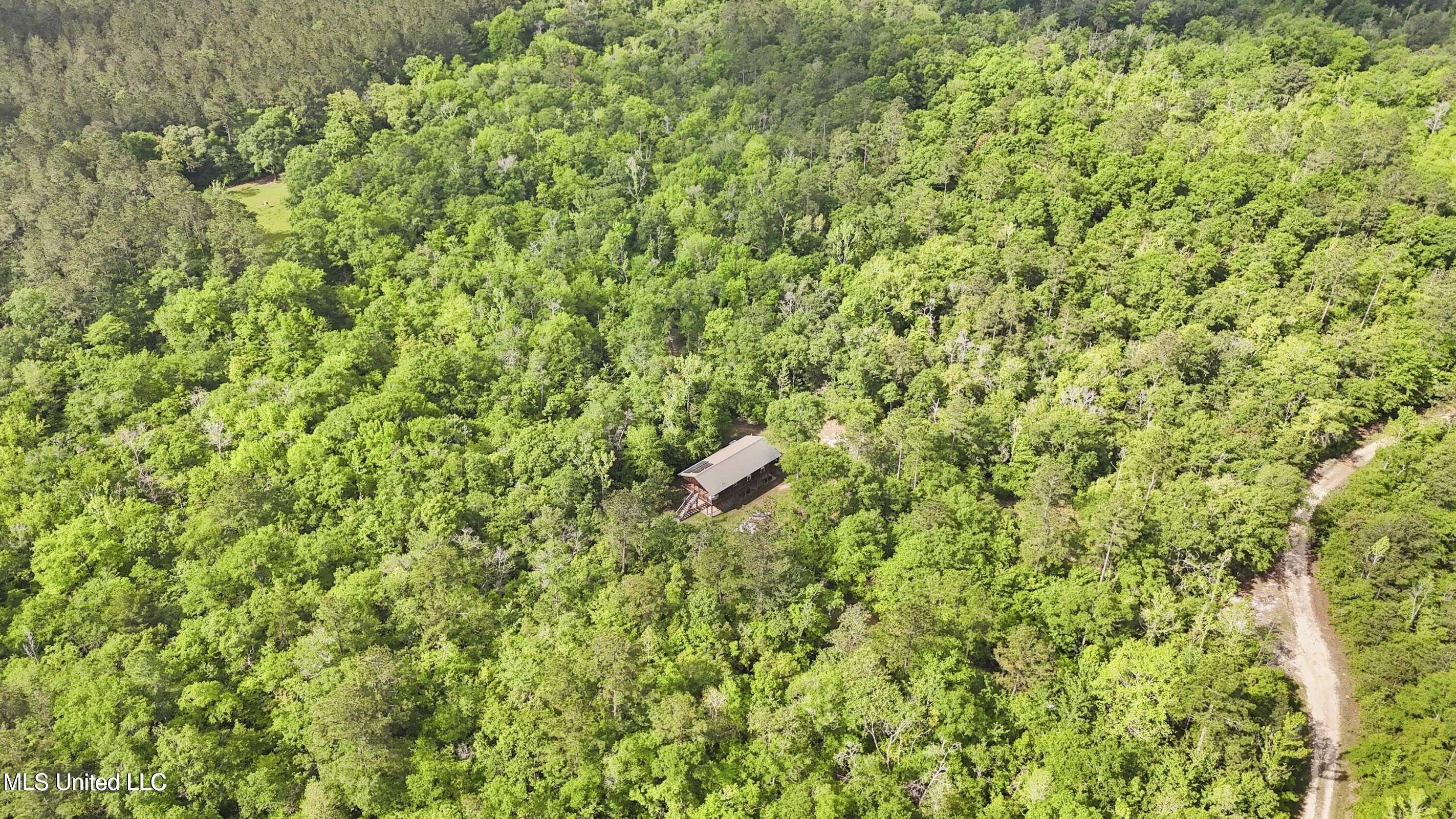 1050 Deep Creek Road Property Photo 23