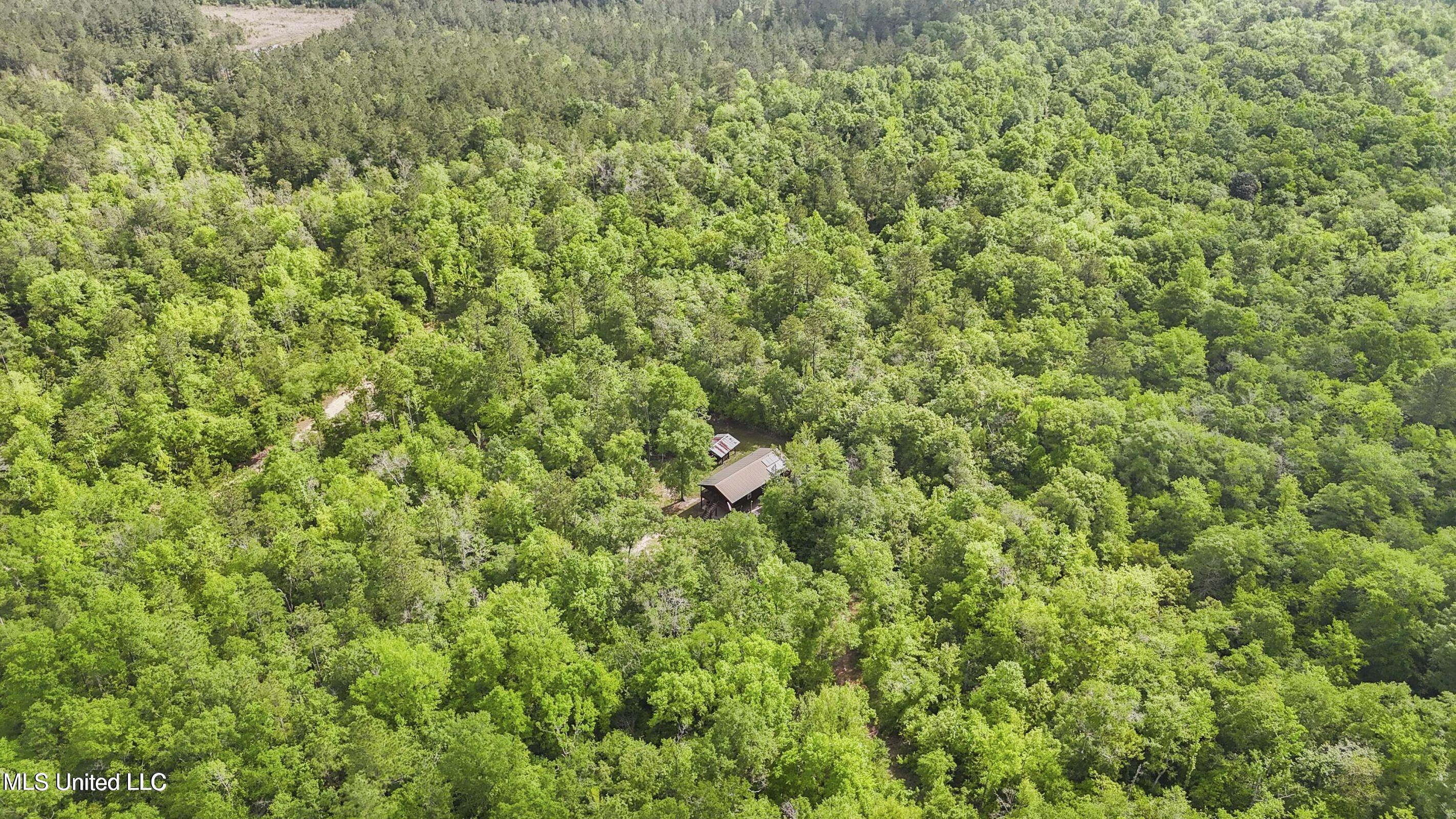 1050 Deep Creek Road Property Photo 24