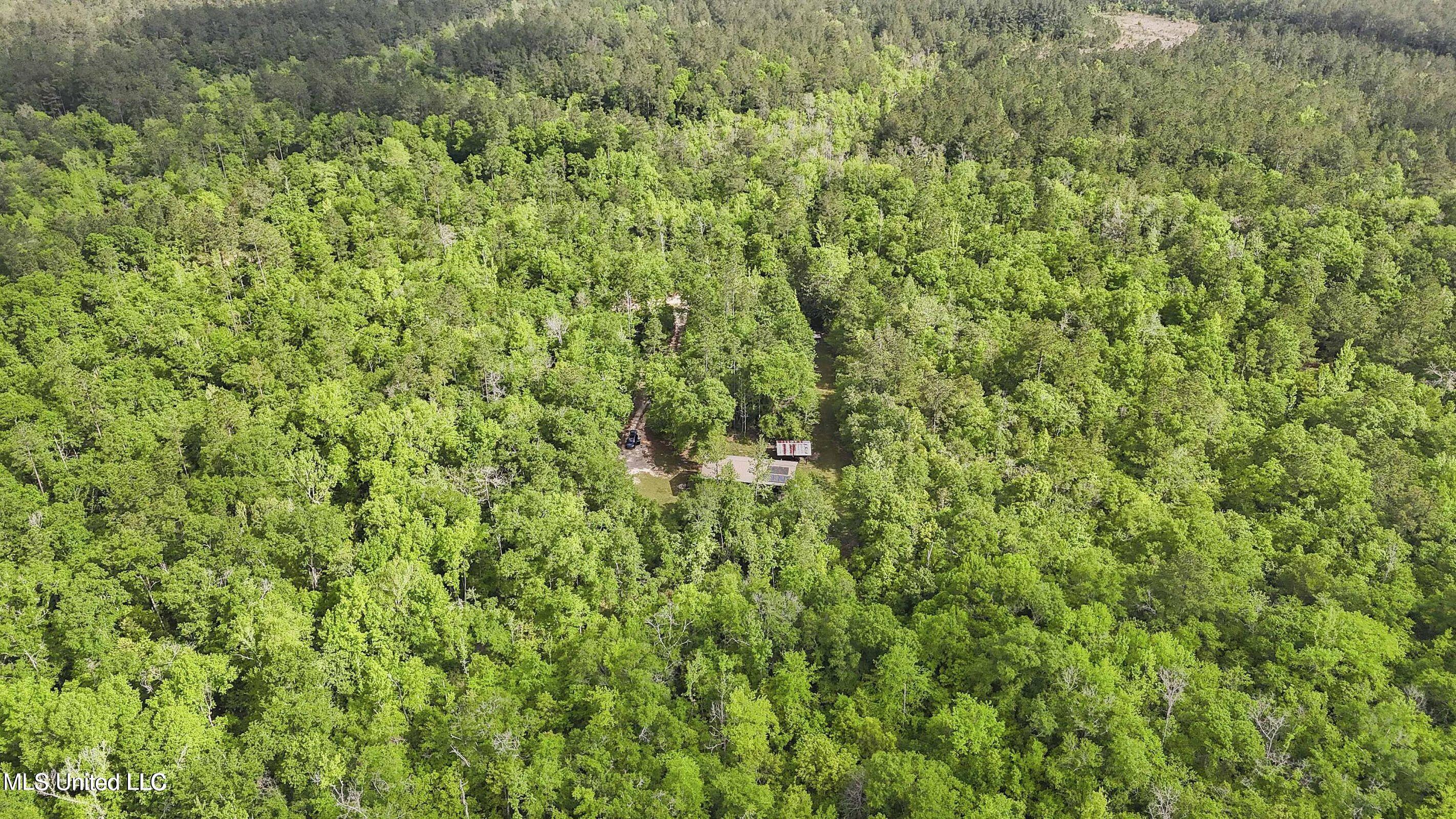 1050 Deep Creek Road Property Photo 25