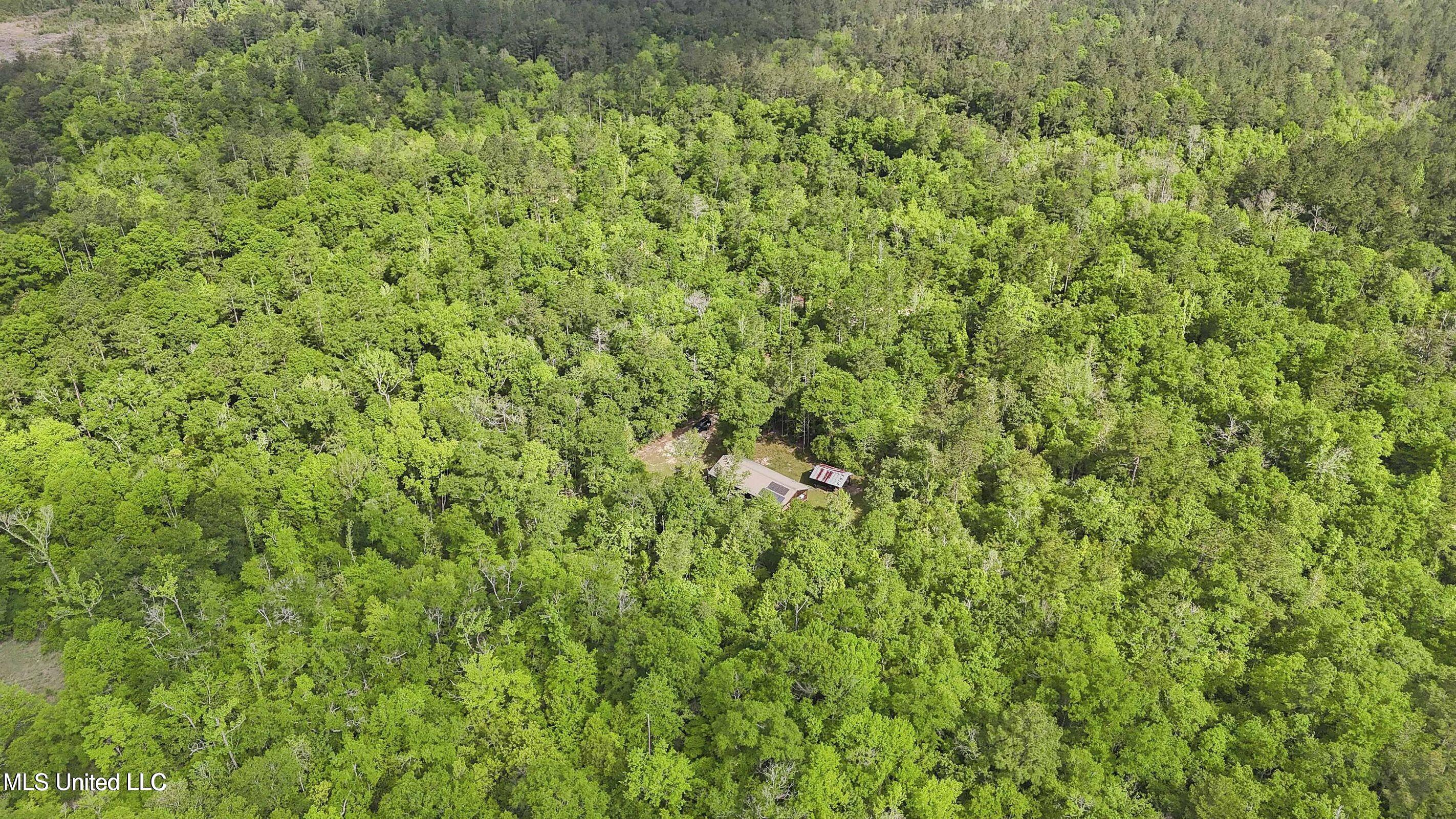 1050 Deep Creek Road Property Photo 26