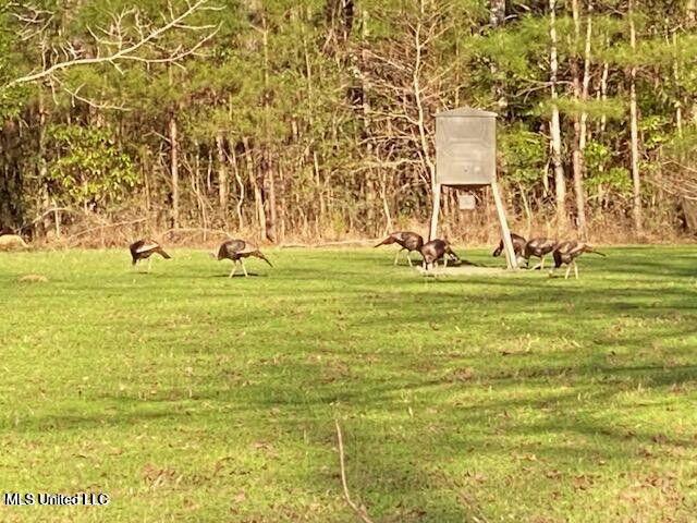 1050 Deep Creek Road Property Photo 28