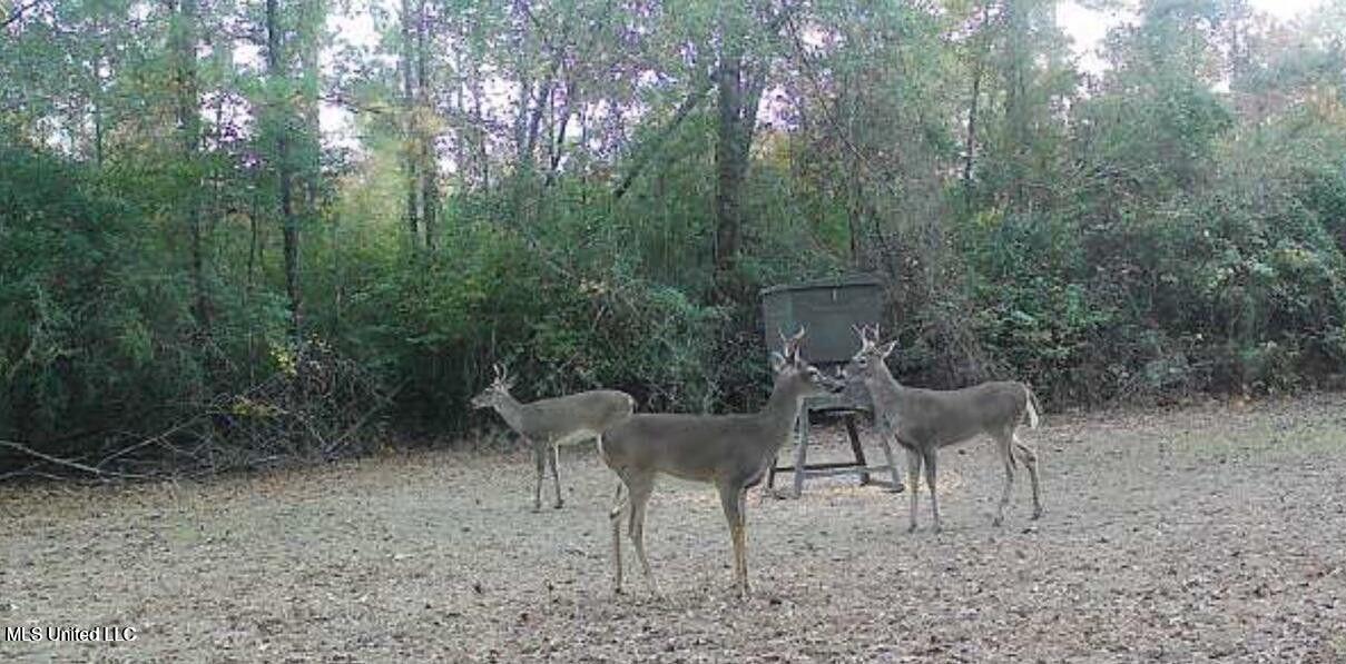 1050 Deep Creek Road Property Photo 29
