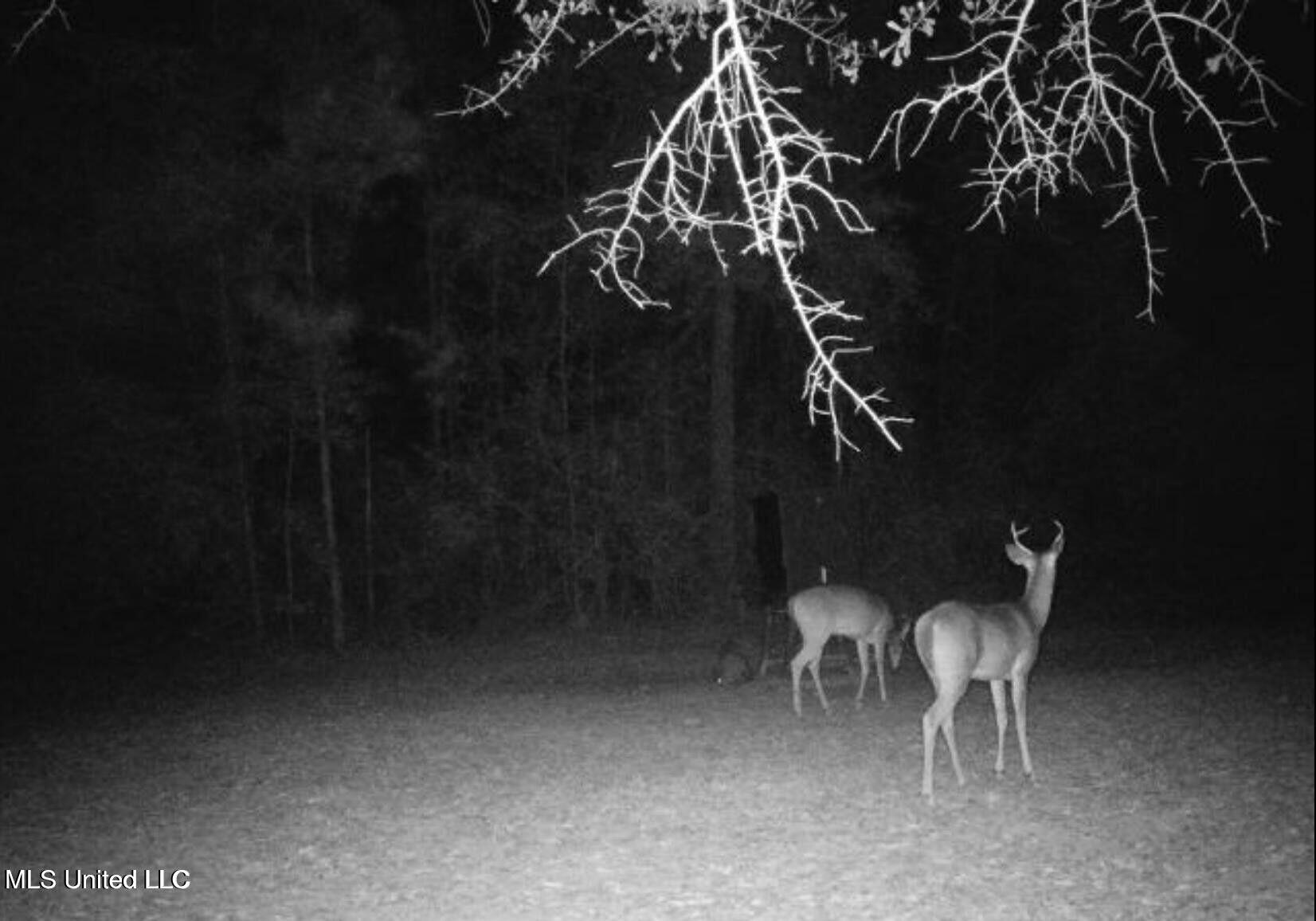 1050 Deep Creek Road Property Photo 30