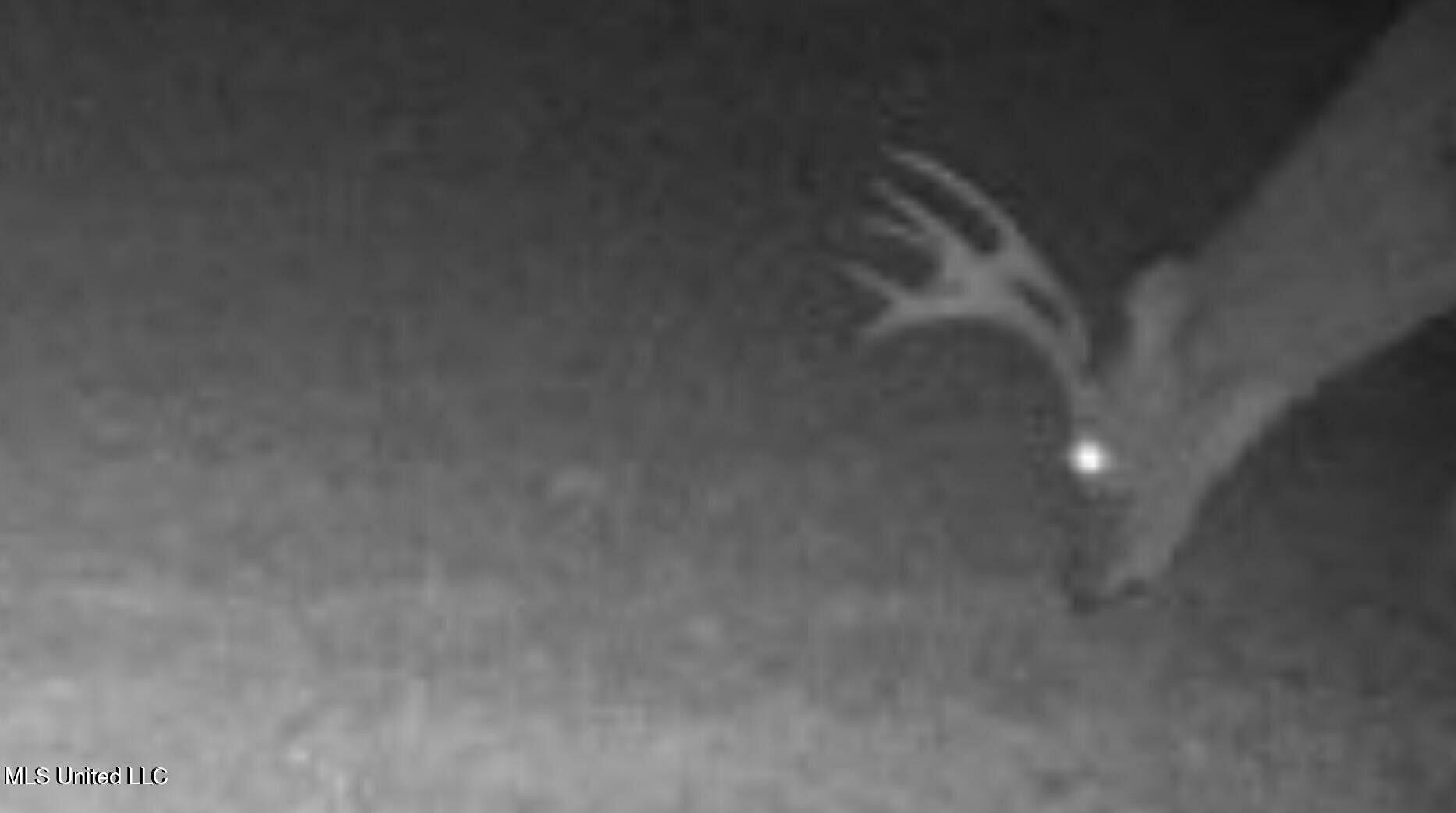 1050 Deep Creek Road Property Photo 31