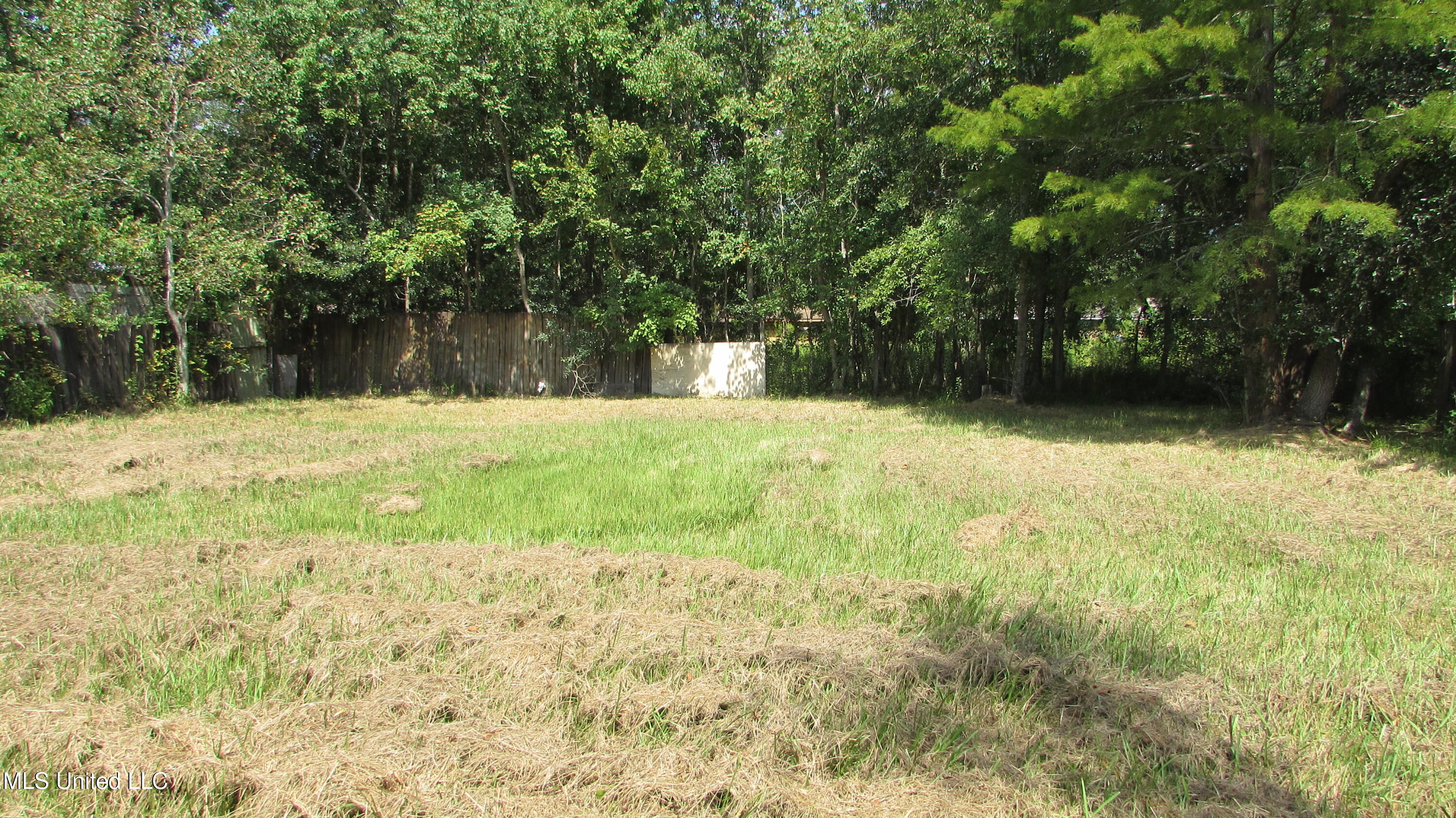 2537 W David Drive Property Photo 9