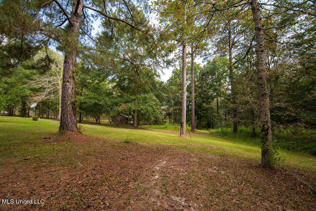 74 Timberlane Drive Property Photo 34