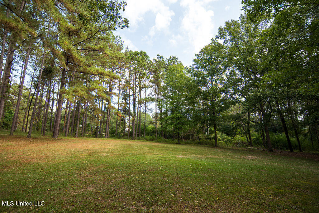 74 Timberlane Drive Property Photo 35