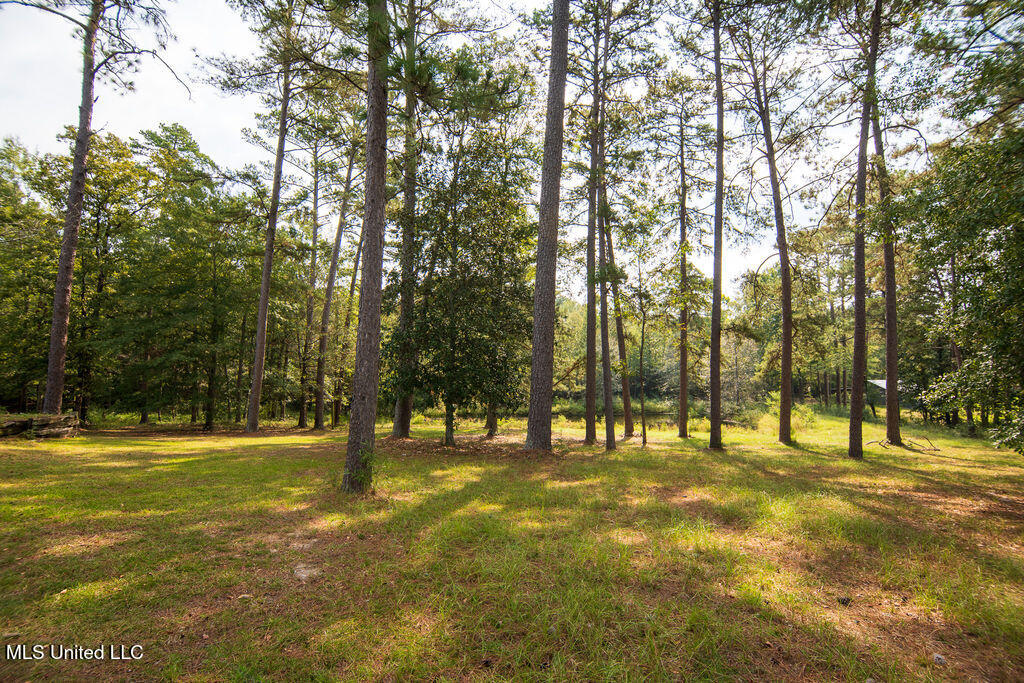 74 Timberlane Drive Property Photo 37