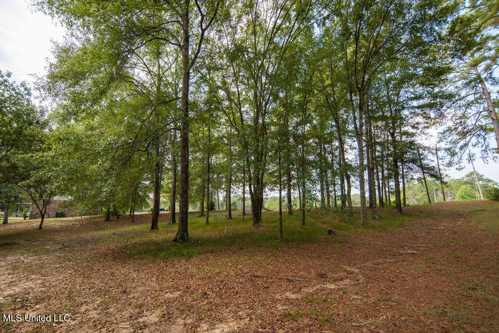 74 Timberlane Drive Property Photo 38