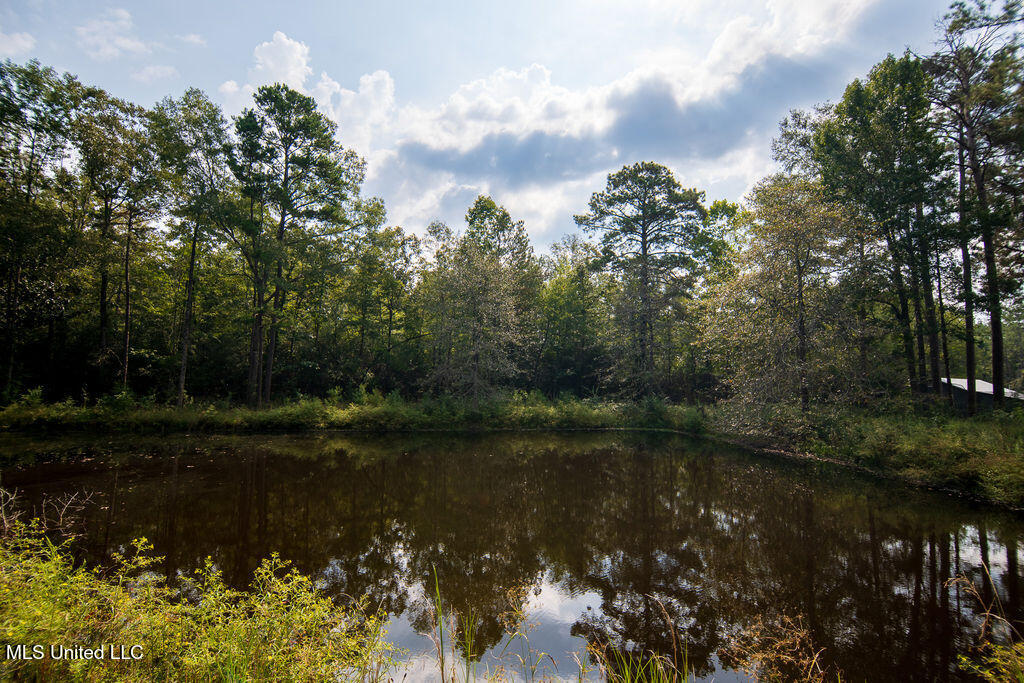 74 Timberlane Drive Property Photo 39