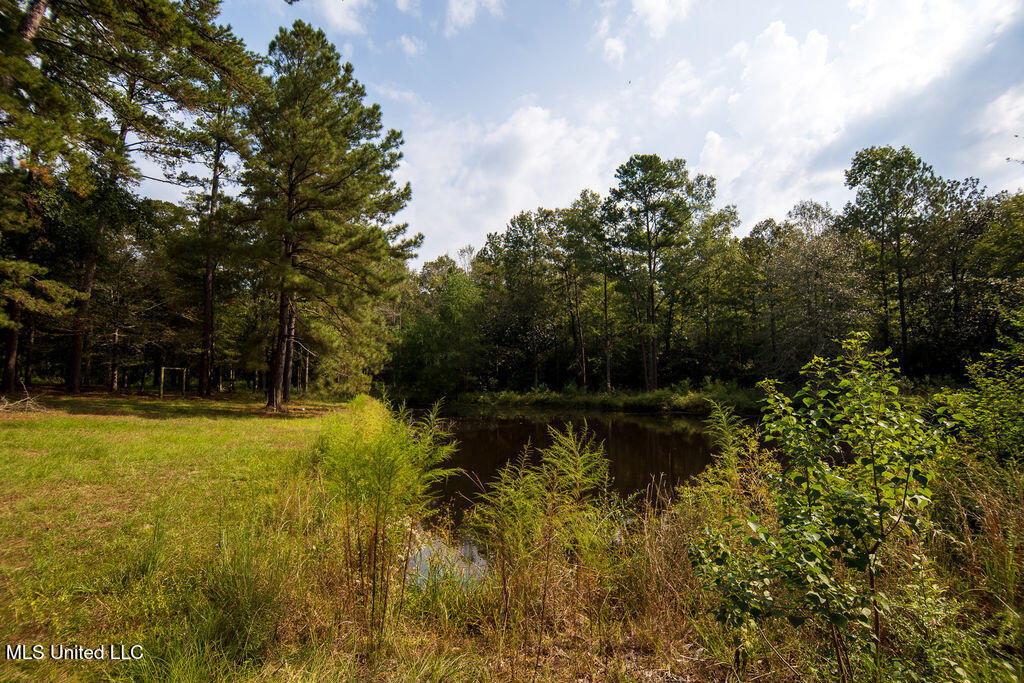 74 Timberlane Drive Property Photo 40