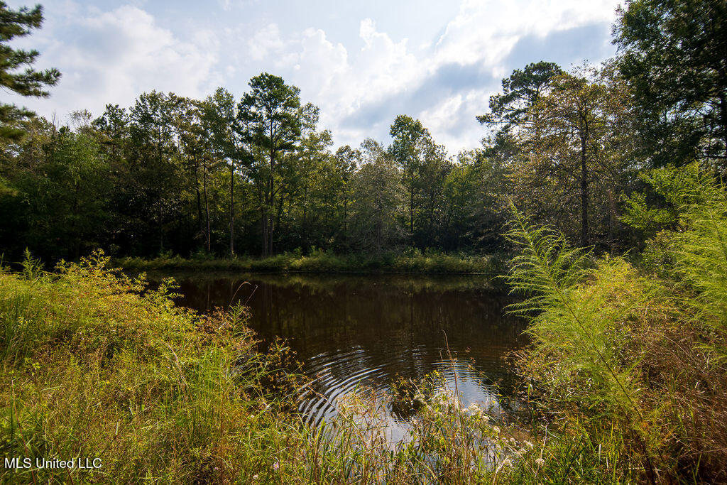 74 Timberlane Drive Property Photo 41