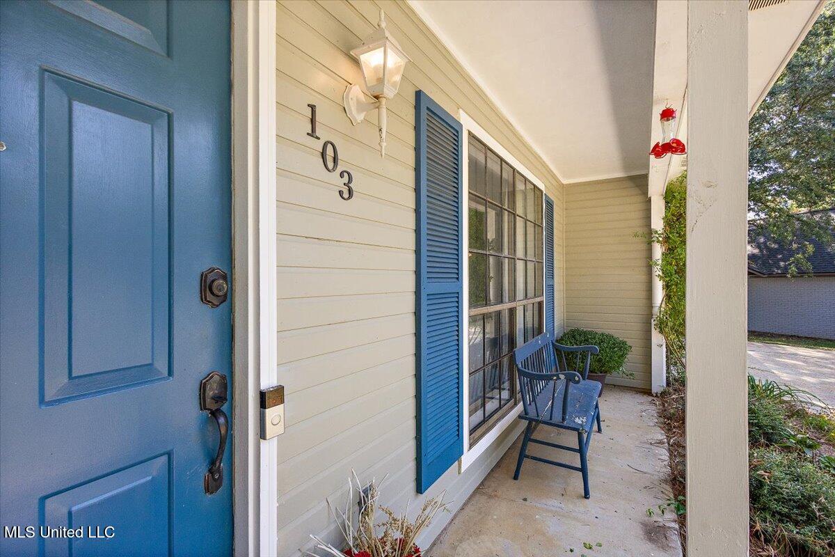 103 Casa Urbano Drive Property Photo 4