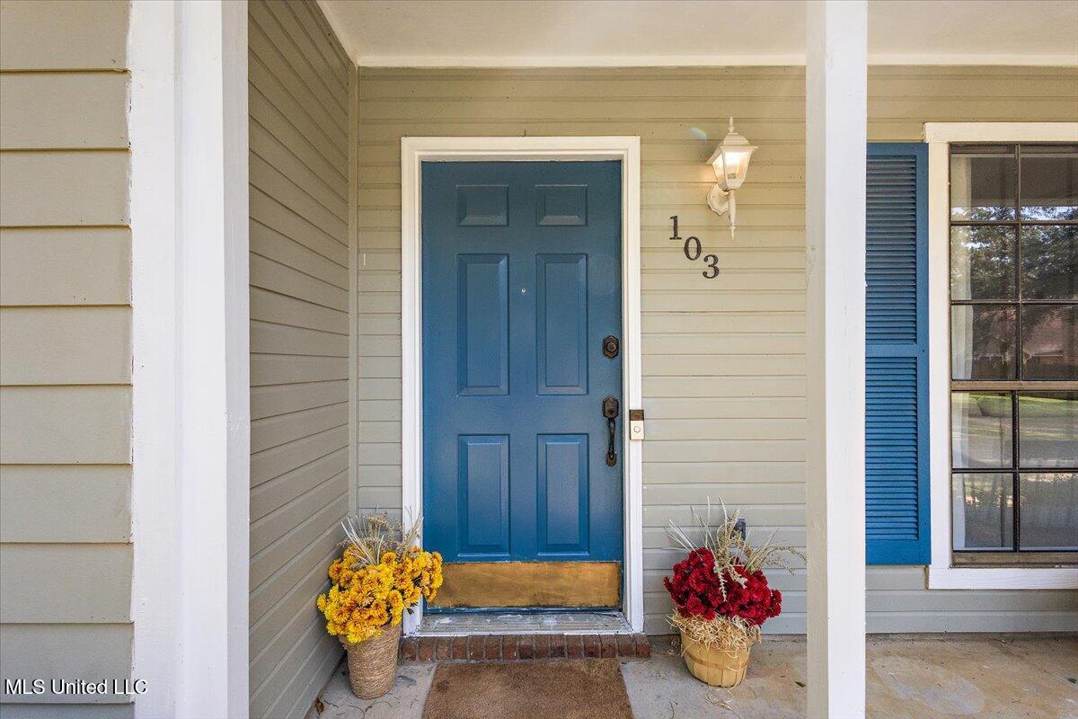 103 Casa Urbano Drive Property Photo 5