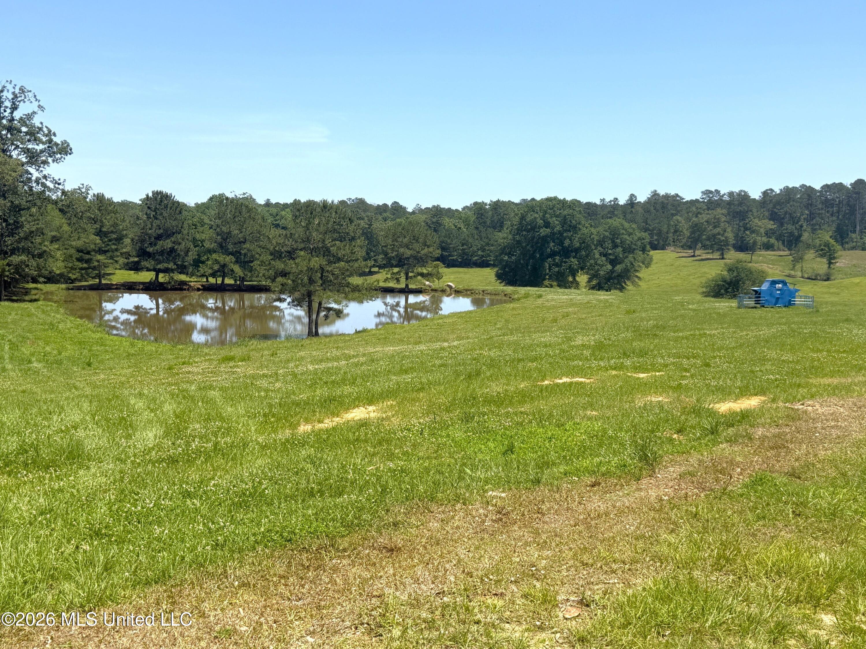 7020 Gibson Road Property Photo 44