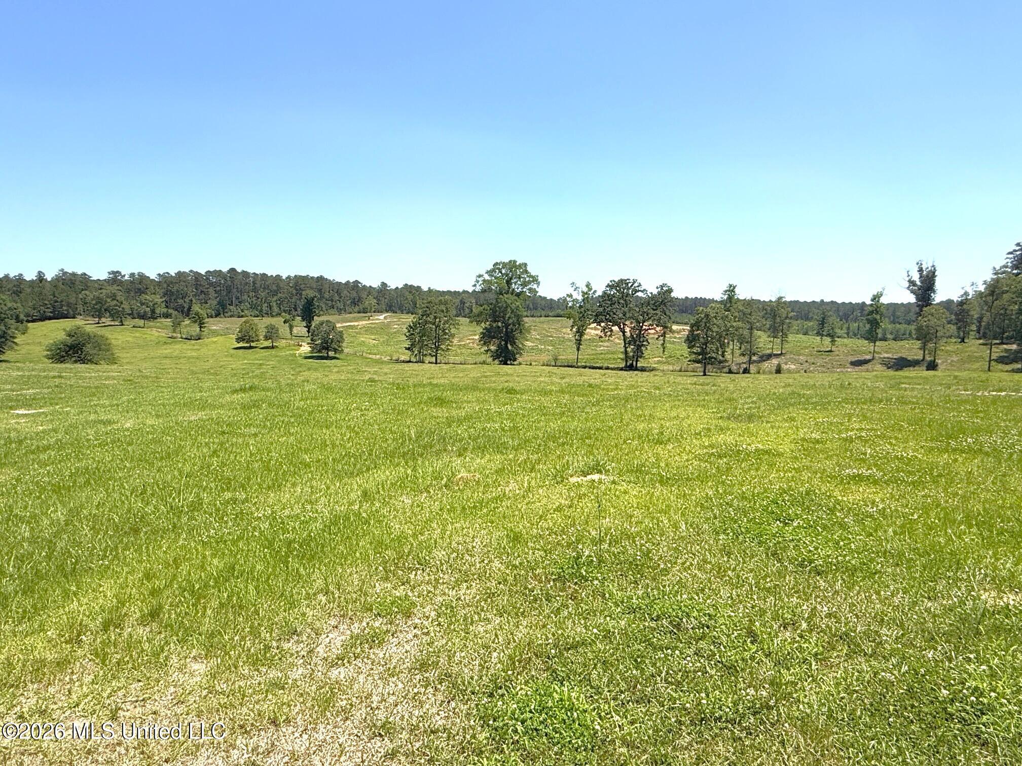 7020 Gibson Road Property Photo 45