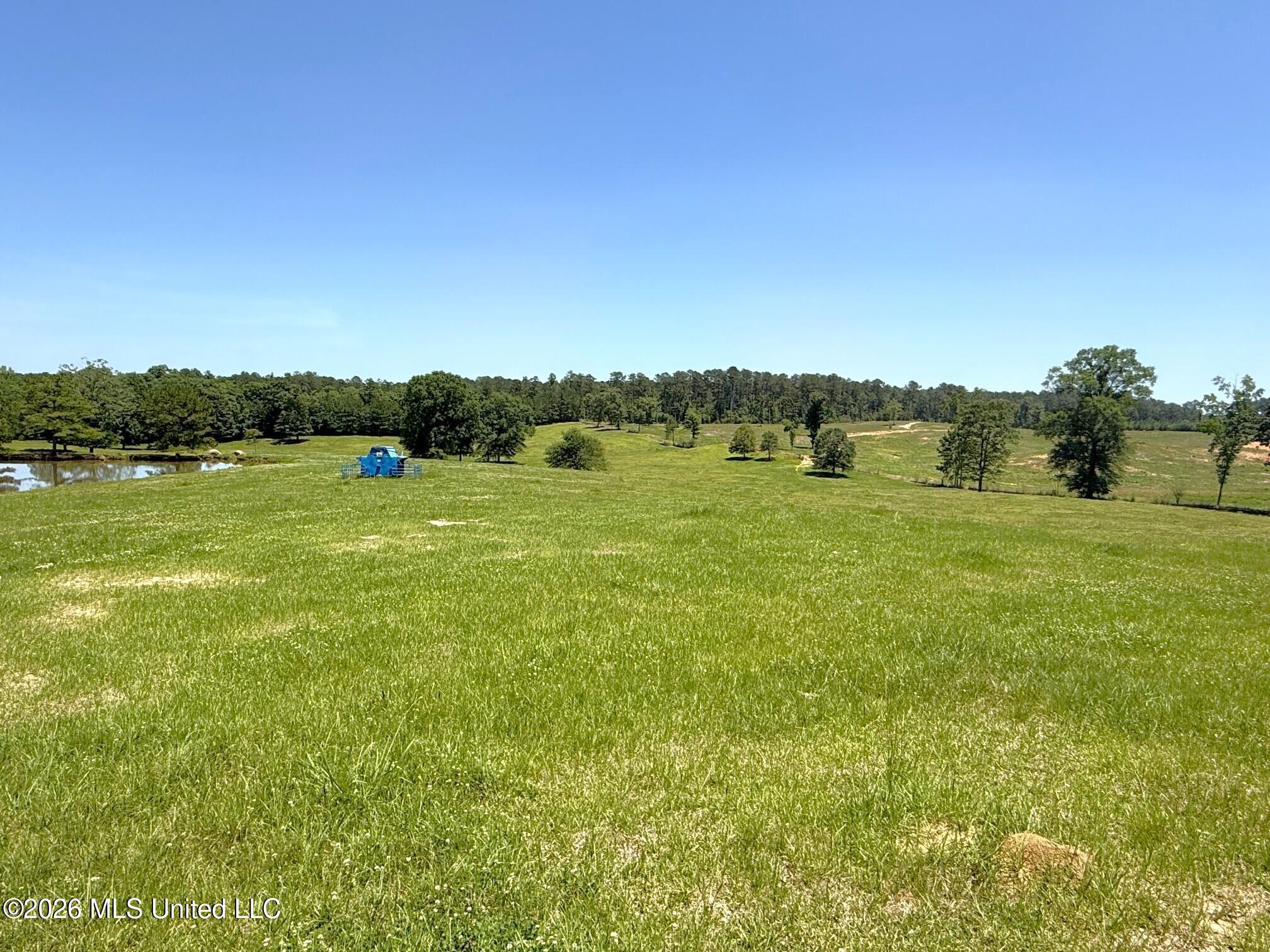 7020 Gibson Road Property Photo 46