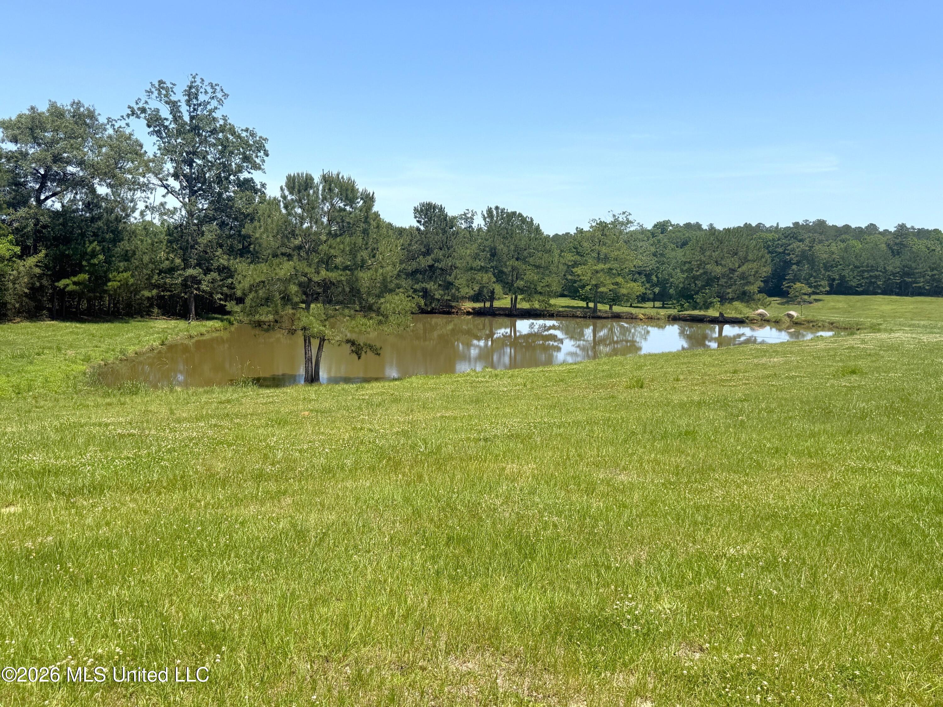 7020 Gibson Road Property Photo 47