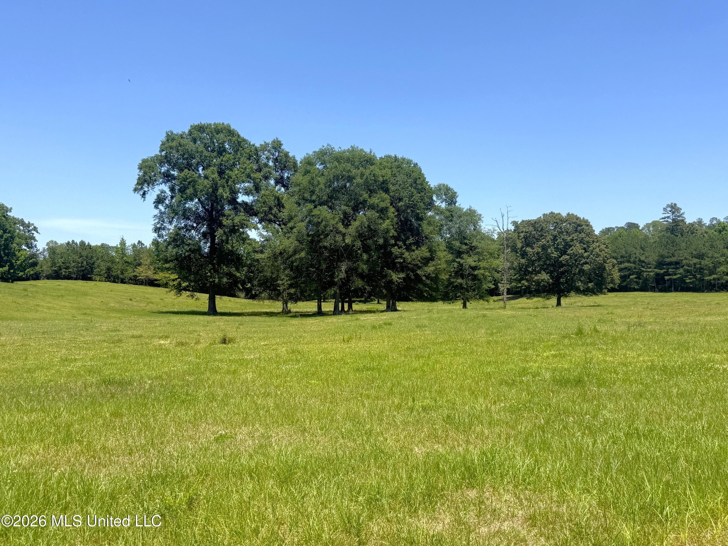 7020 Gibson Road Property Photo 48