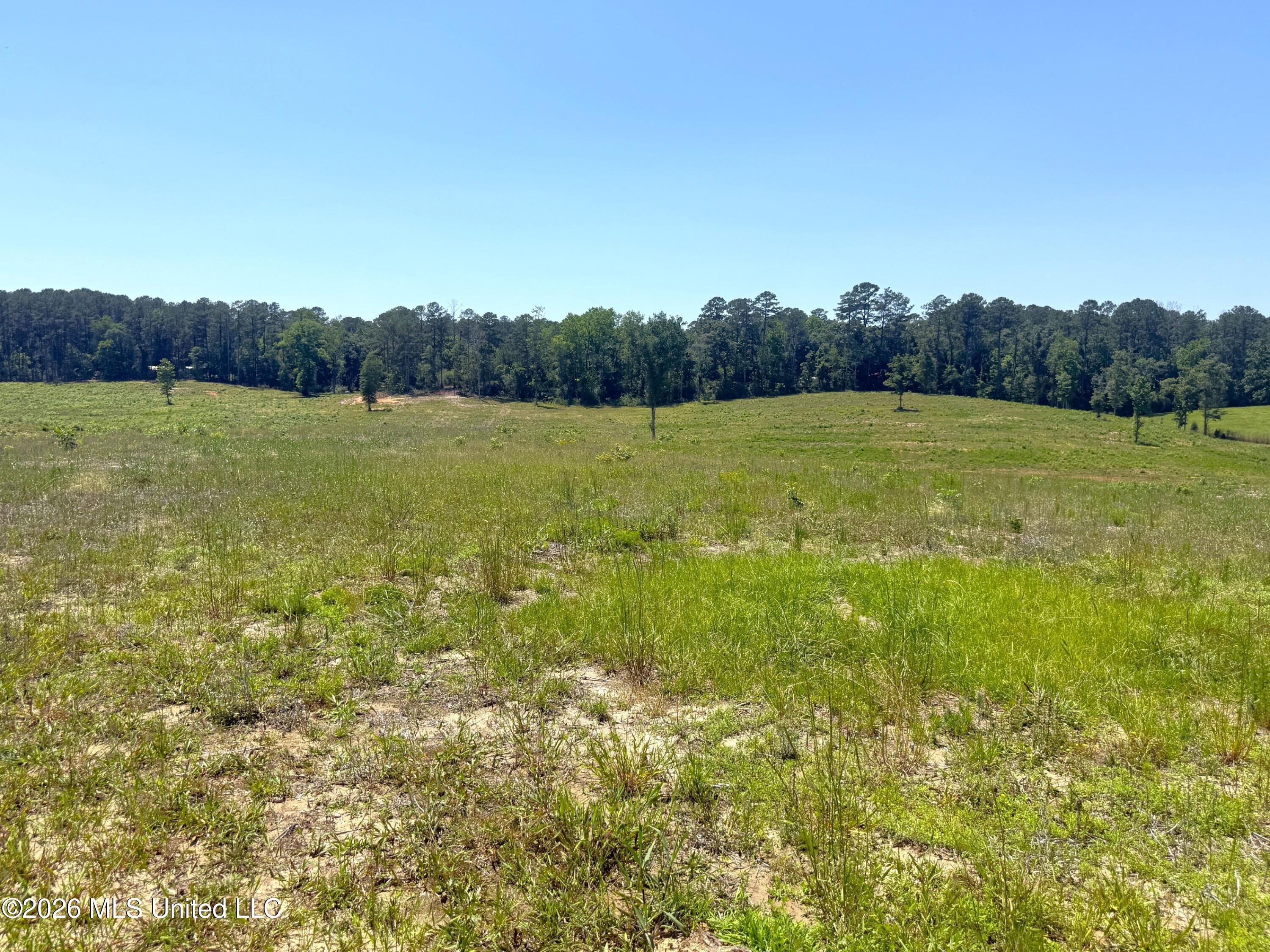 7020 Gibson Road Property Photo 50