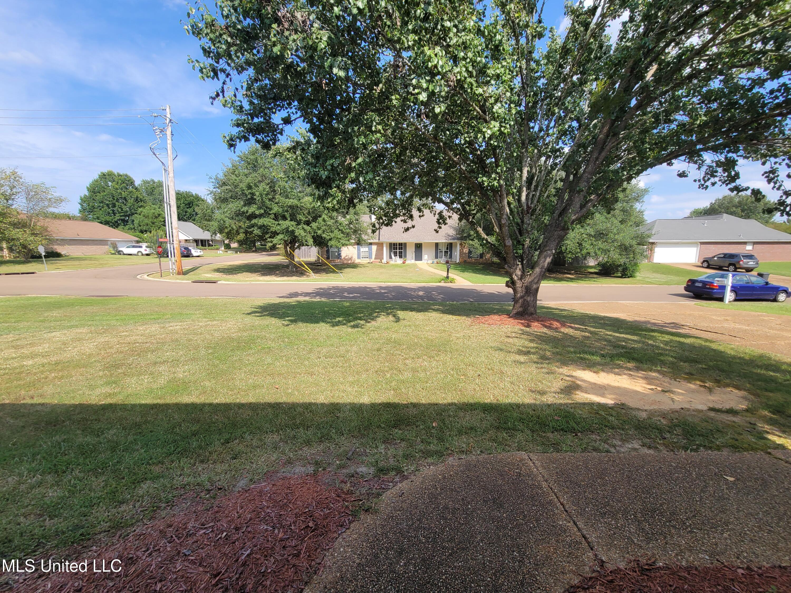 317 Willow Run Property Photo 2