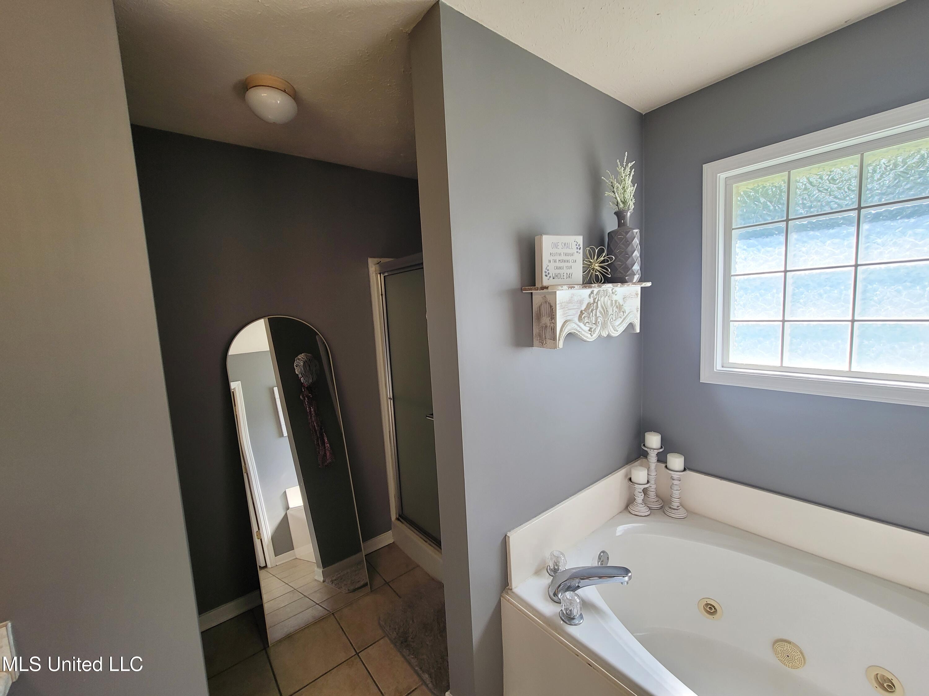 317 Willow Run Property Photo 18